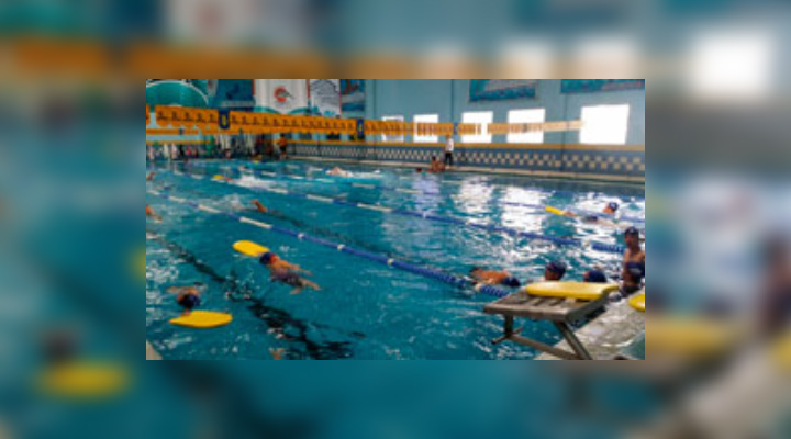  Escuela de natación delfines 